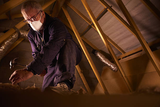 Best Spray Foam Insulation  in Waimanalo, HI